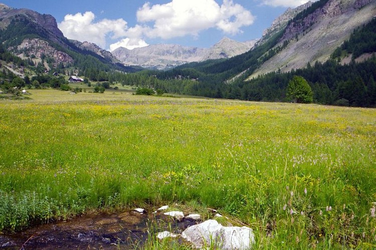 Le Var prend source au pied du Pré de fauche de Pra Long
