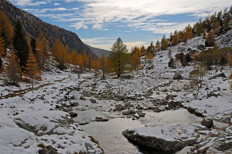 Le Countet en Gordolasque et le torrent du même nom,après les premières chutes de neige accompagnant le mélézin d'automne.