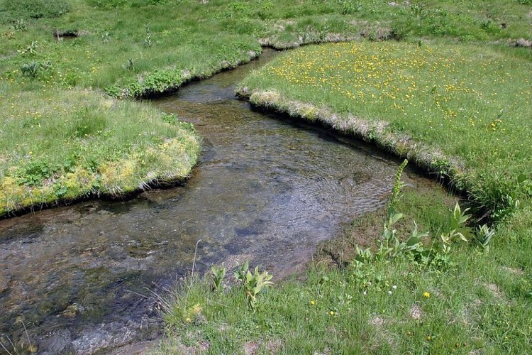 La Serpentine est le nom donné au torrent du Chadoulin, (affluent du Verdon), sur le haut de son cours, sur le plateau du Laus.