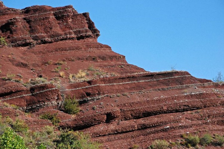 Pélites rouges des gorges de Daluis.