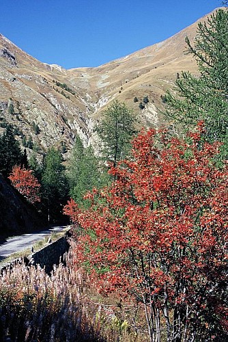 Le Col du Sabion (2268m), en automne