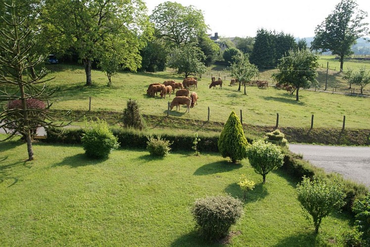 Location Gîtes de France - Réf : 19G1156