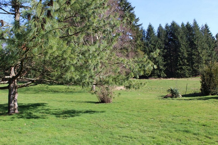 Gîte de groupe Vauguenige