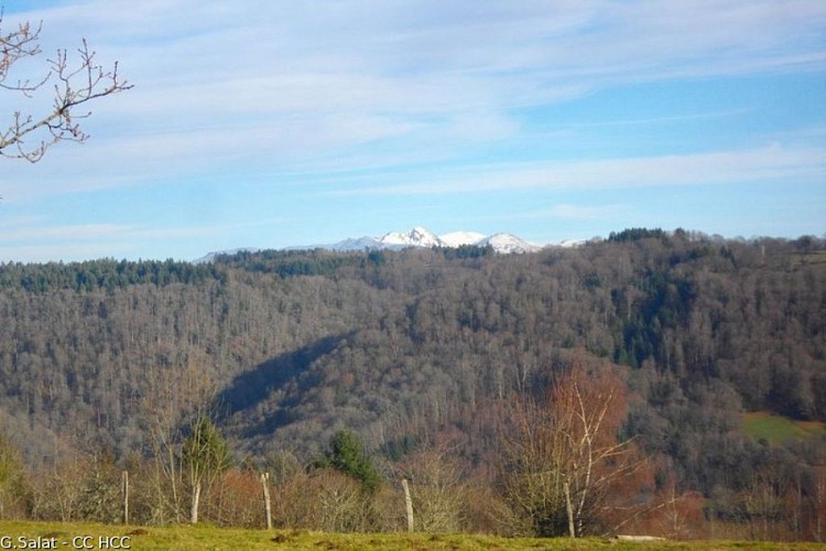 Le Massif du Sancy