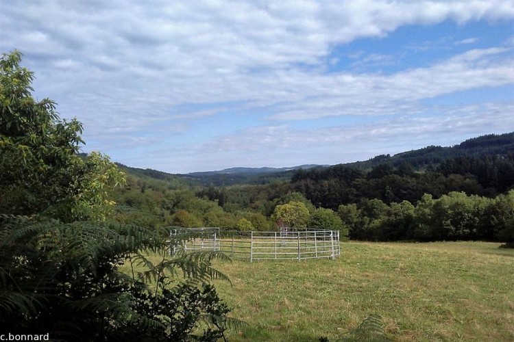 Le Puy de la Monédière