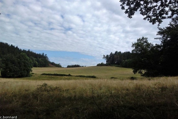 Le Puy de la Monédière