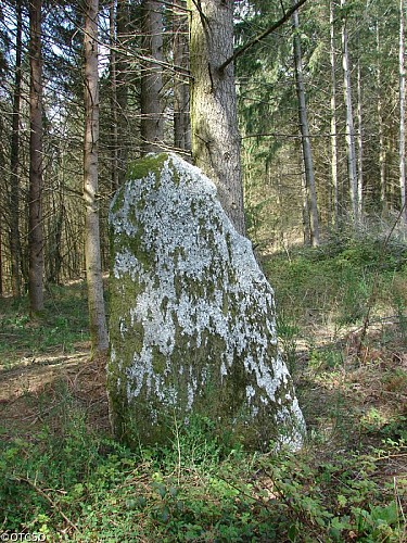 Menhir à Saint Amand Jartoudeix