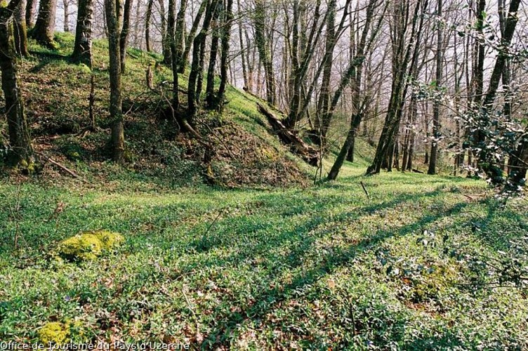 Remains of the castle mound of the Château de l'Abbaye
