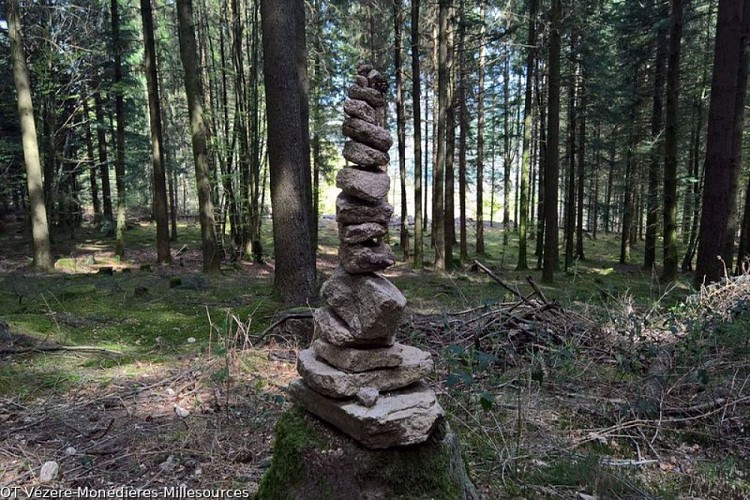 La Forêt domaniale de Larfeuil