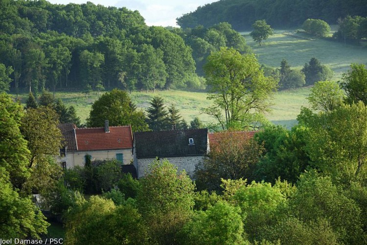 Déprise Agricole