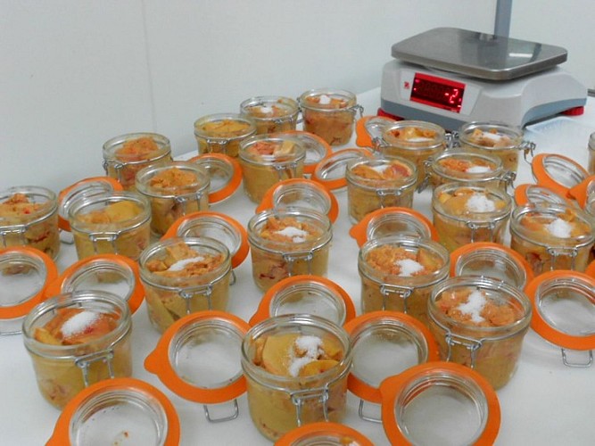 Régine Gauthier (3)