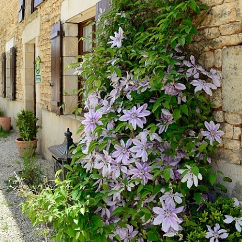 chambres ferme du puy d'anché