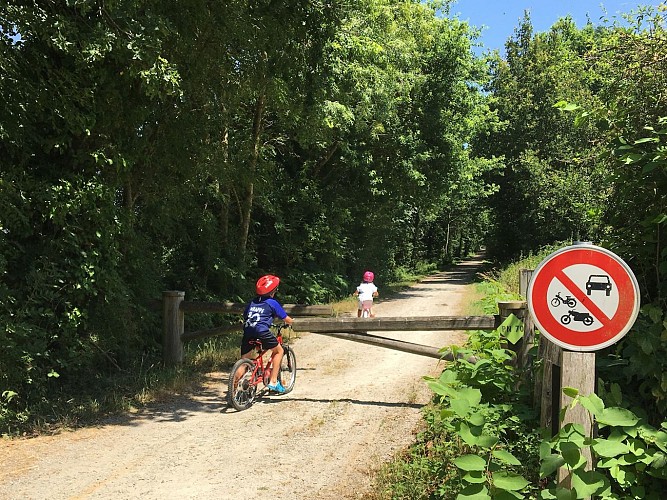 moncoutant-domaine-de-la-sabliere-aire-de-camping-voie-verte