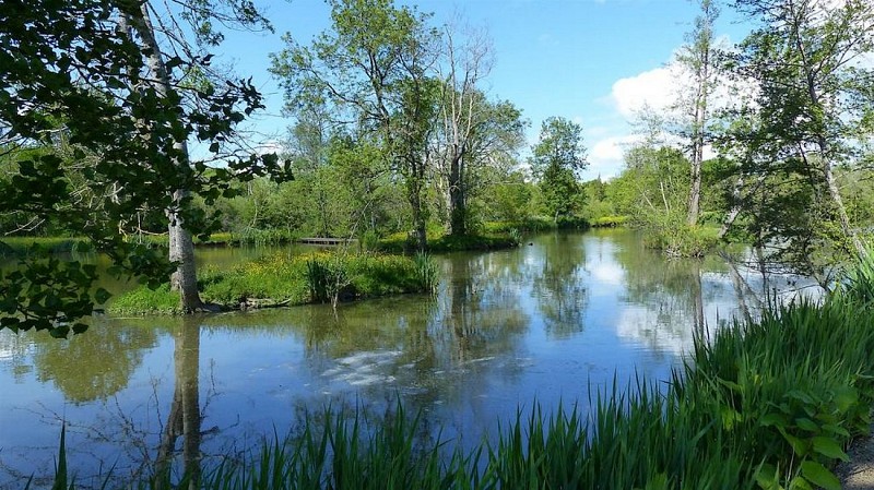 moncoutant-domaine-de-la-sabliere-aire-de-camping-car-riviere