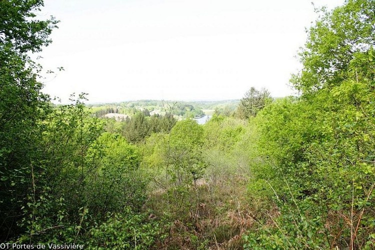 Point de vue du Belvédère