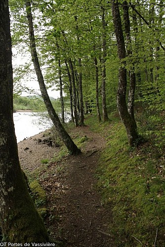 Panorama sur la vallée de la Maulde