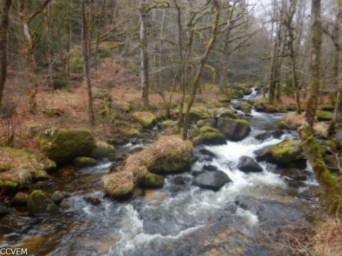 Habitat de la Loustre