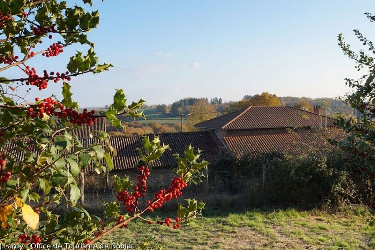 Village de la Mazière