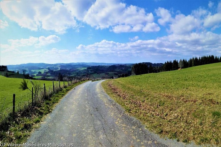 Point de vue sur le Mont Gargan