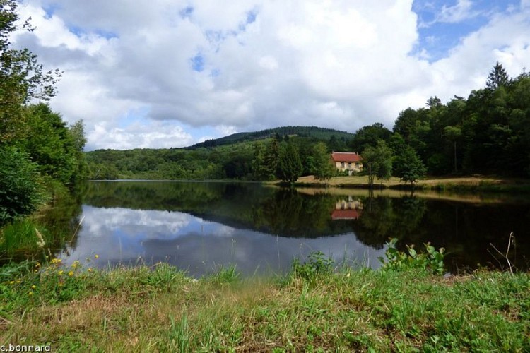 Vue sur le Mont Gargan