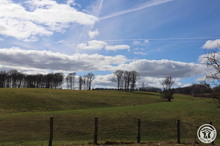 Location Gîtes de France - Réf : 19G4029