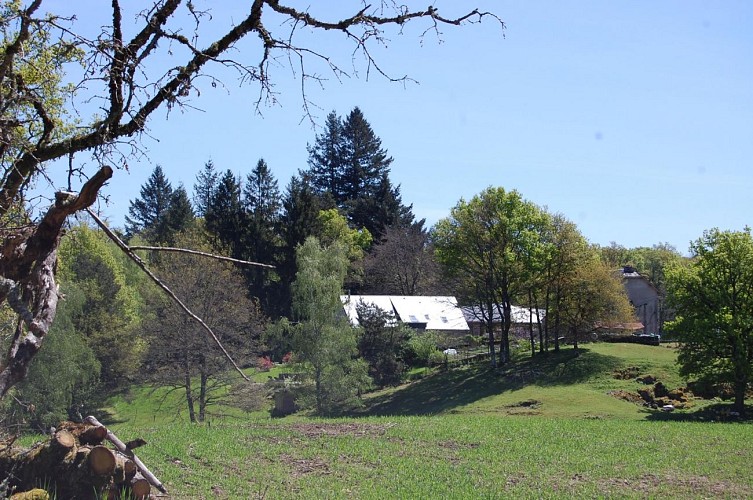 Chateauret Chambres d'hôtes et Gîte