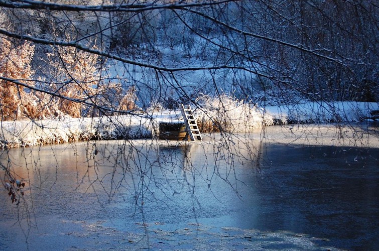 Chateauret Chambres d'hôtes et Gîte