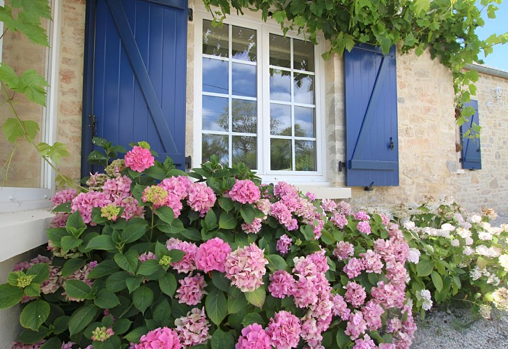 calme détente chambre d'hôtes