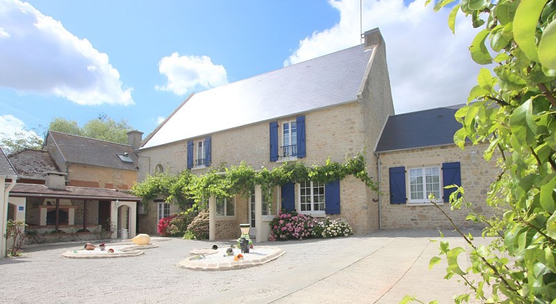 les hirondelles bleues charme de la pierre