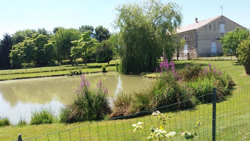 Vue extérieure sur l'étang