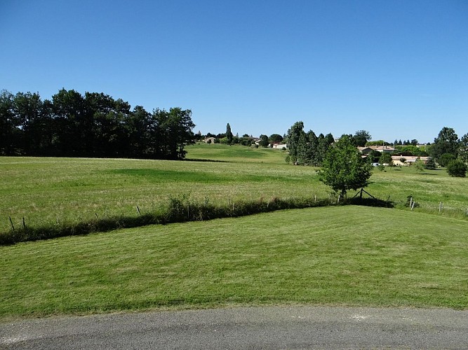 Gîte-Martin-St -Martin-De-Gurson champs