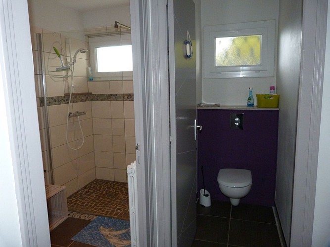 Ancolie des Pyrénées - Sanitaires (Laurioux Marie-Noëlle)