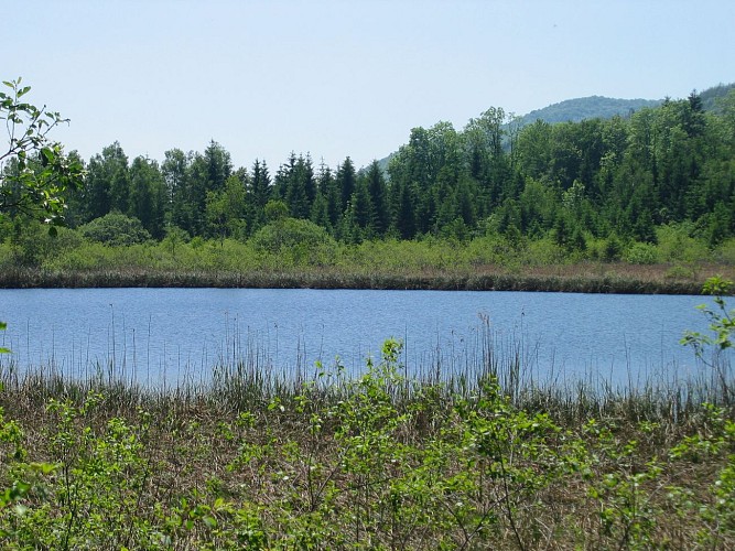 Lac d'Onoz