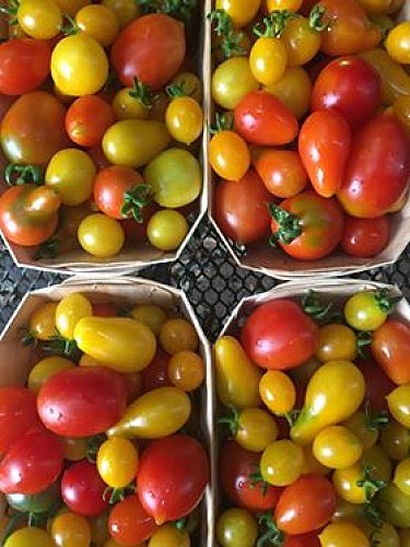 116341477_596607551051035_5625462708826406492_n