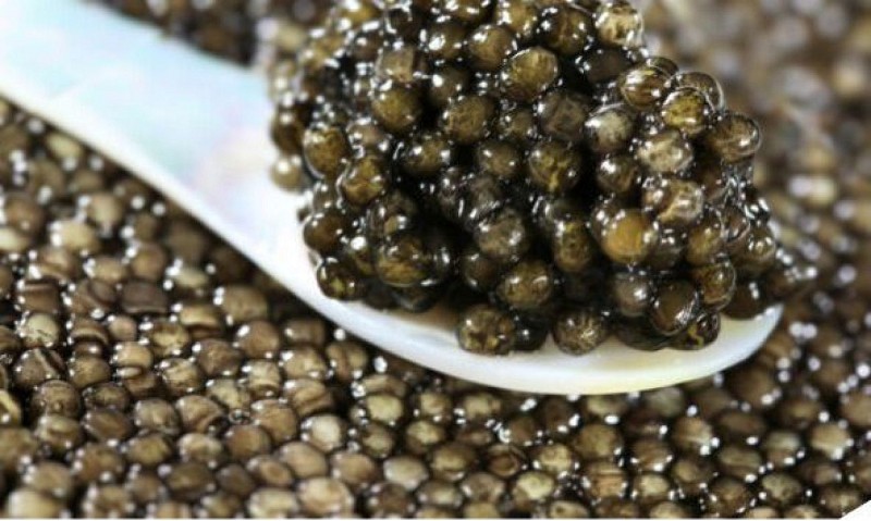 Caviar Perle Noire_Les Eyzies
