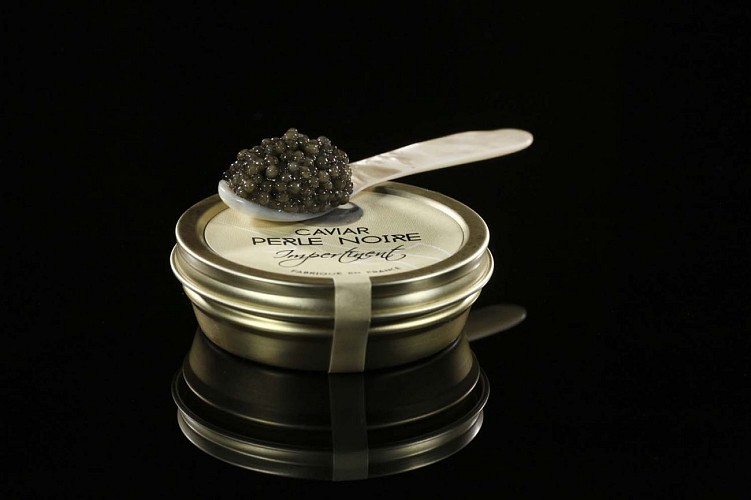 Caviar Perle Noire - Les Eyzies 8