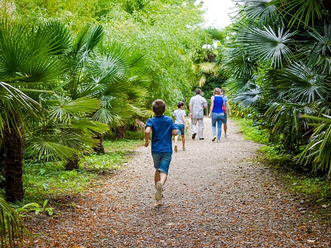 images site Internet - 3