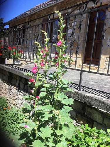 Location Gîtes de France - Réf : 19G2210