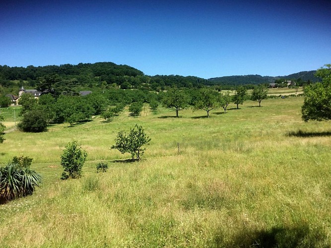 Location Gîtes de France - Réf : 19G2210