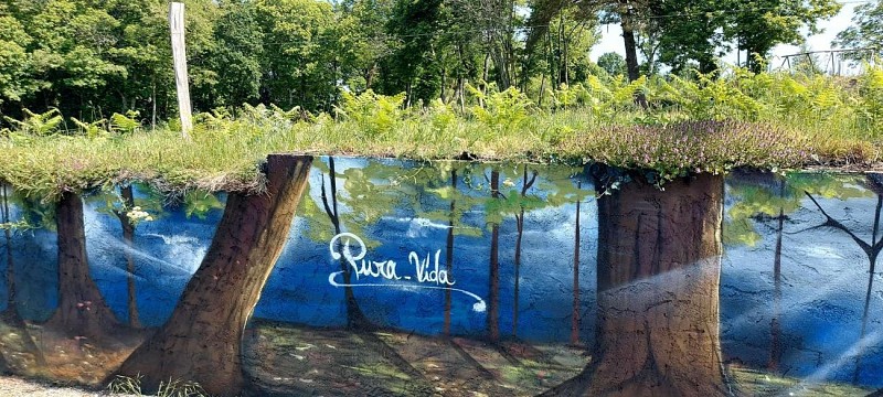 Pura Vida