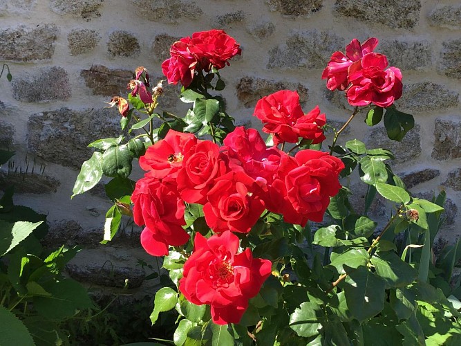 Location Gîtes de France - Réf : 19G5349