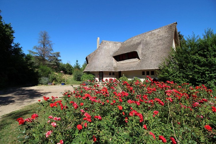 Les Bois de Saint Auvent