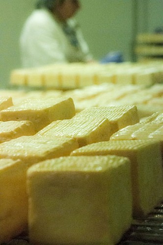 Fromagerie du Vieux Moulin (fromage de Herve)