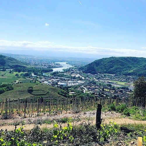 Vente Fruits & Légumes - Jean François Jacouton