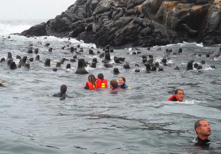 Excursion en bateau sur les îles de Palomino - Lima