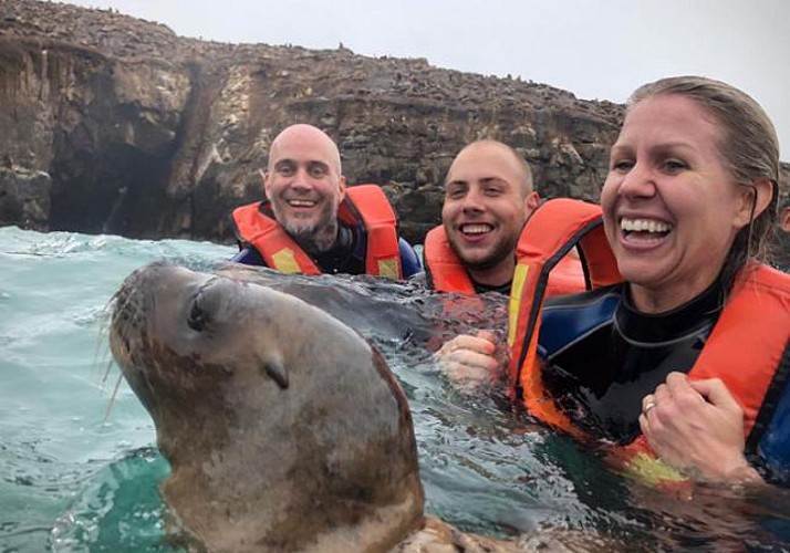 Excursion en bateau sur les îles de Palomino - Lima