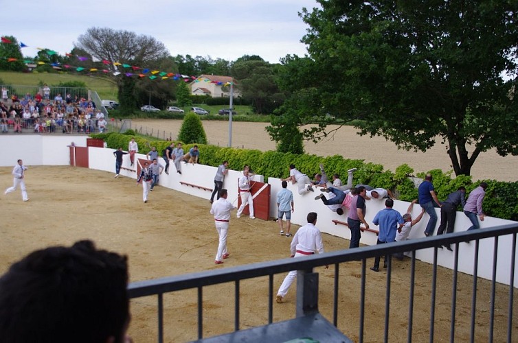 Montsoue-course-landaise-9-TiS