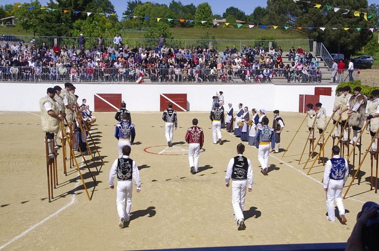 Montsoue-course-landaise-TiS