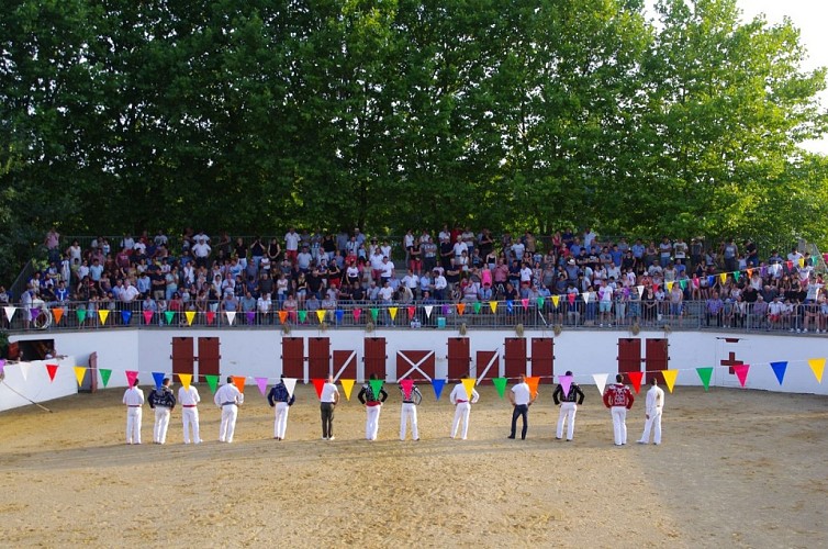 Montsoue-course-landaise-10-TiS