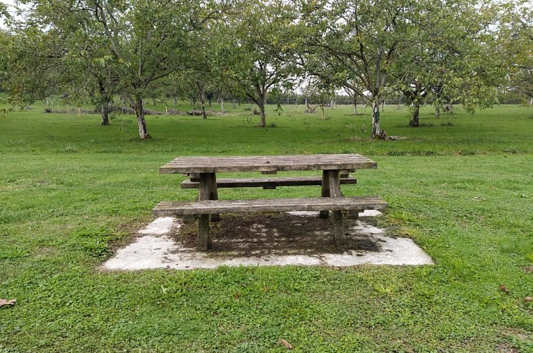 Table Rampieux bon format